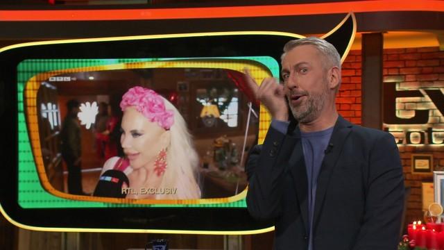 Junge Hüpfer & Alte Hasen