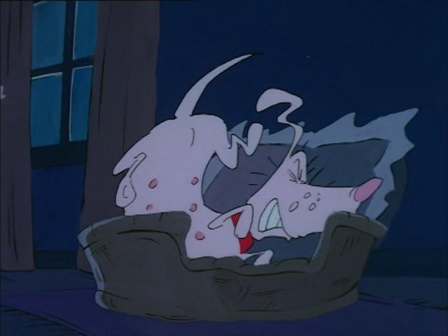 Les puces