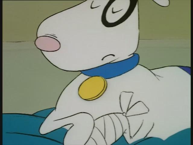 Chien de maître