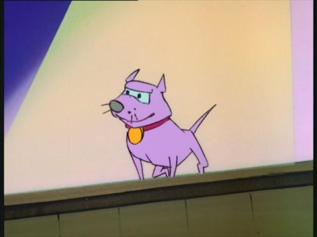 Beauté canine
