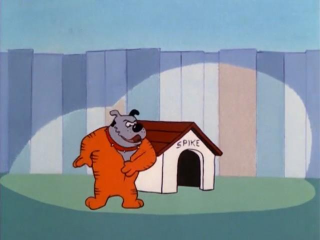 El gran Pussini / Pensión para gatos