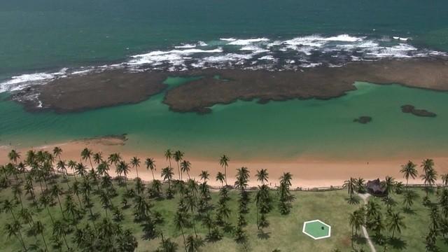 Costa do Dendê