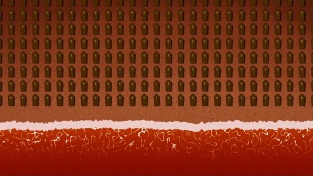 Blue Seas, White Sand, Black Wooser