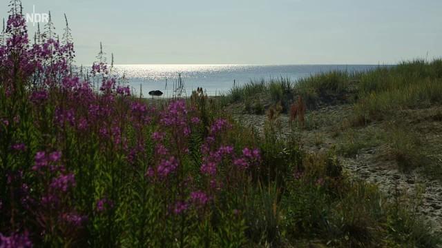 Öland - Schwedens königliche Insel