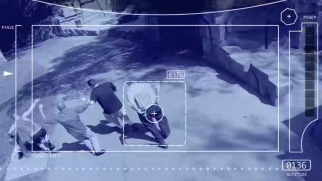 Bears On The Run