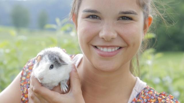 Guineapig