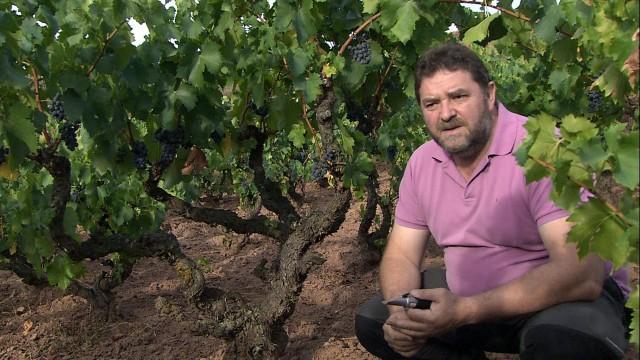 in La Rioja