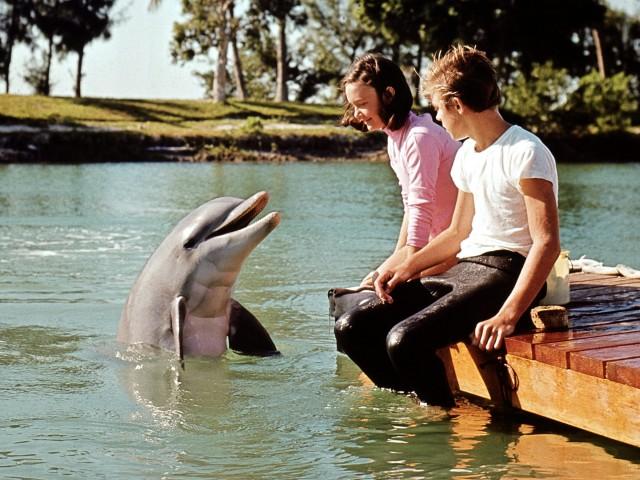 Flipper's New Adventure