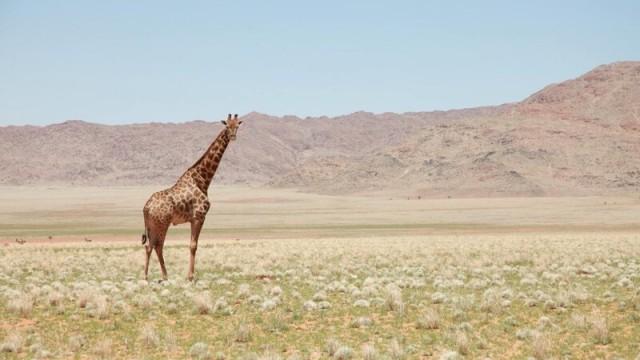 Unbekanntes Afrika (2/5) - Savanne - Im Reich der Vulkane