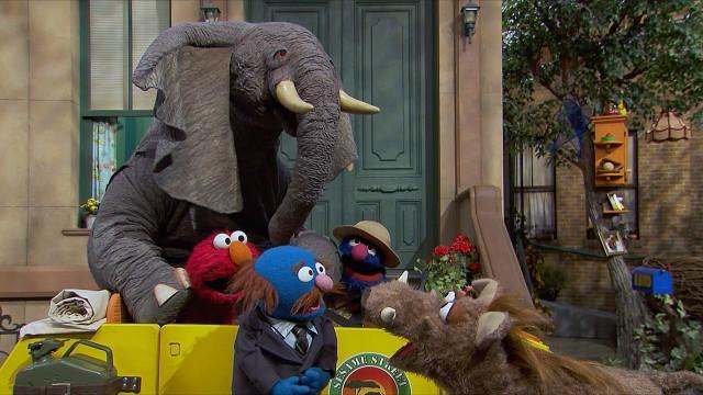 Grover's Street Safari