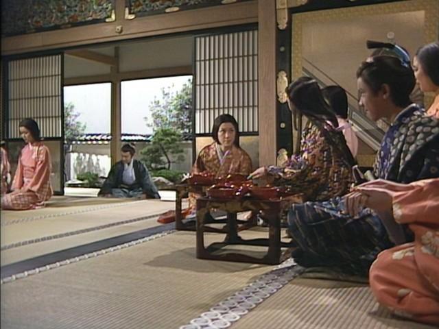 Ieyasu, the Shogun