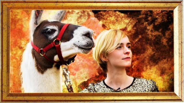 Endlich Lamas & Harry Potter Teil 8!