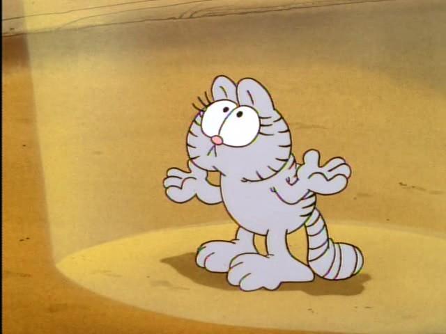 The Kitten and the Council