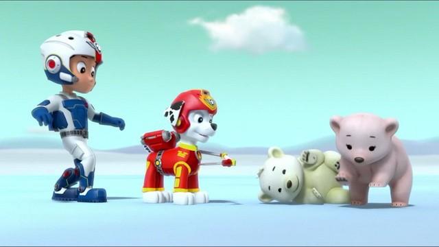 Pups Save the Polar Bears