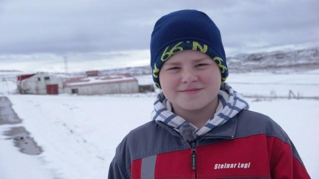 Steinar, der Junge aus dem Elfenland
