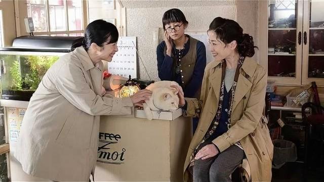 Episode 3
