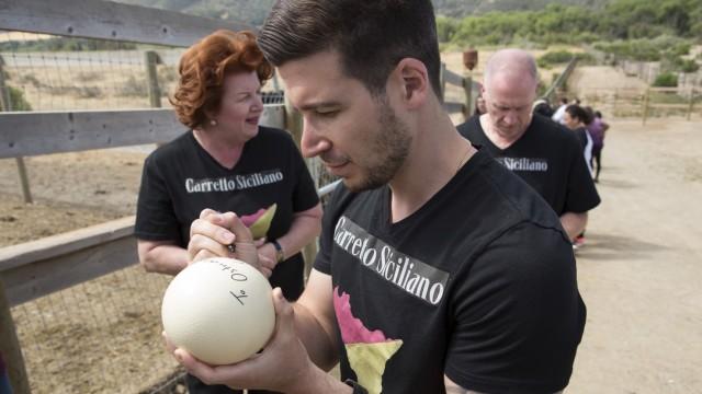 An Egg-cellent Adventure