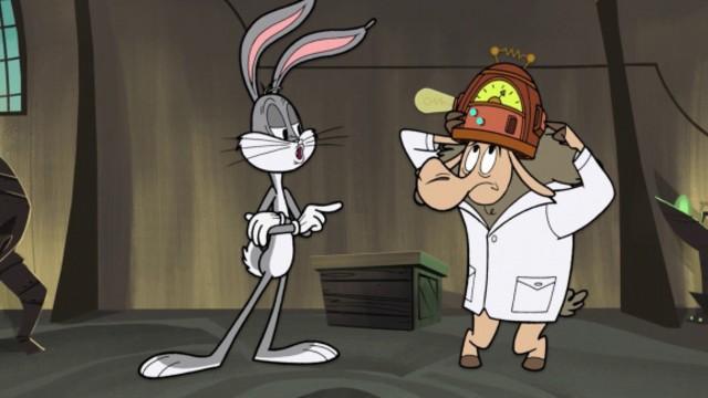 Bugs in Time
