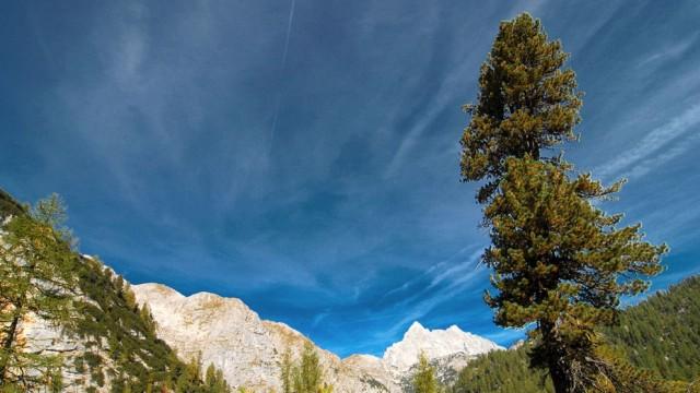 Wildes Deutschland - Die Berchtesgadener Alpen