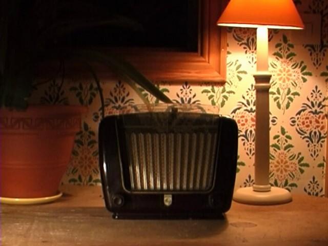En himla många program - radioversionen (2)