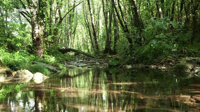El agua, a examen