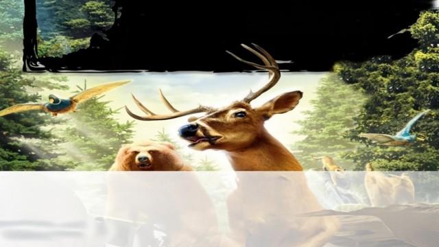 Deer Drive