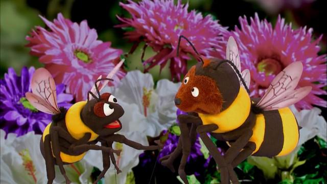 Baby Bear Learns About Bees (repeat)