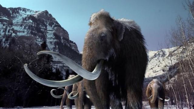 Rise of the Megabeasts
