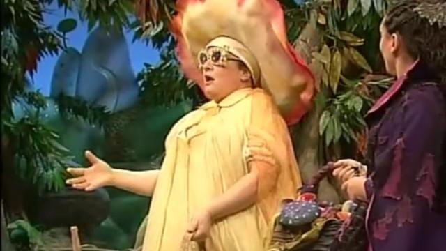 Il fungo fatato	