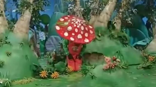 Il fungo gigante	