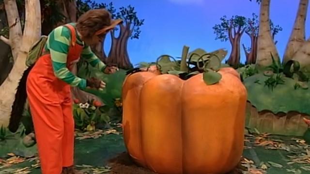 Il mago della zucca