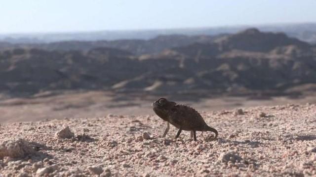 Die Namib - Der Ort an dem nichts ist (Namibia)