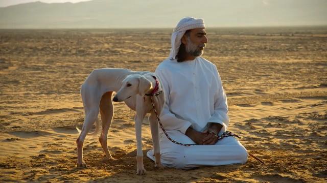 Man's Best Friend