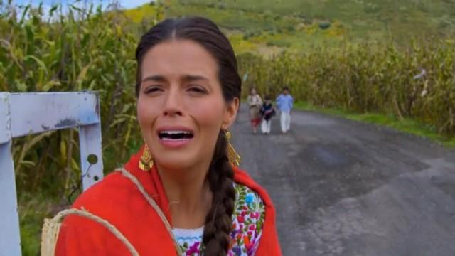 La felicidad en el campo