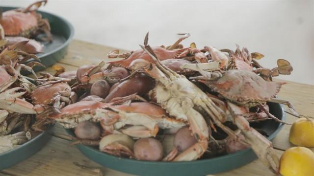 Cajun Country Trail