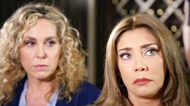 Un plan para salvar el viñedo