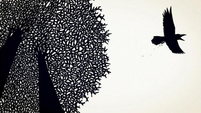 Grand corbeau
