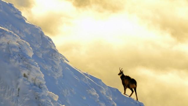 Die Hohe Tatra (1): Leben am Abgrund