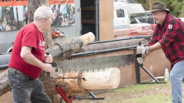 The Paul Bunyan Trail