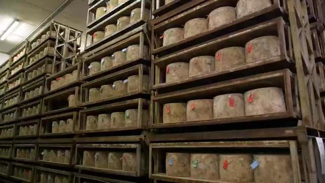 Cheddar Cheese of England