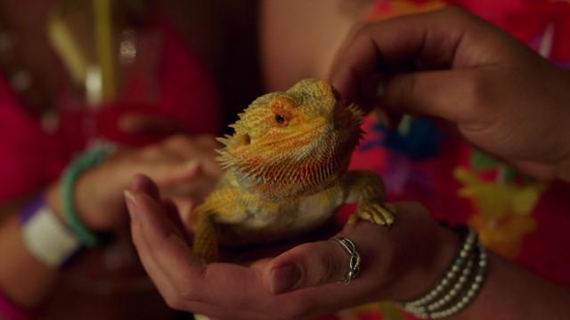Season 2 First Look
