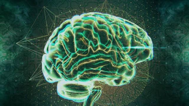 Psychedelics and Consciousness