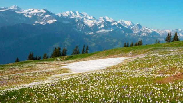 Mit dem Frühling durch Europa (2): Von den Alpen ans Polarmeer