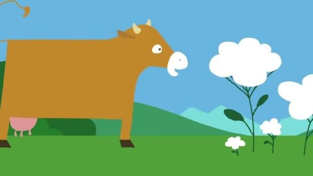Cow