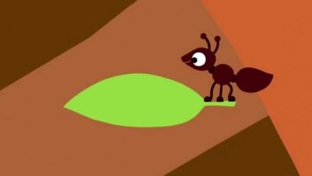 Ant