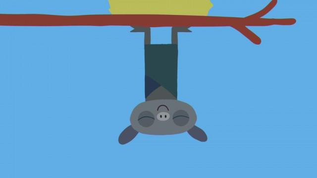 Bat
