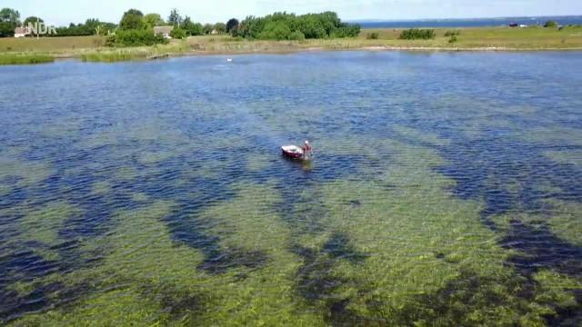 Dänemarks Ostsee-Archipel – Das Südfünische Inselmeer