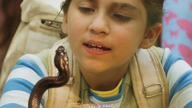 Reptile Connection / Three Dinos and a Baby