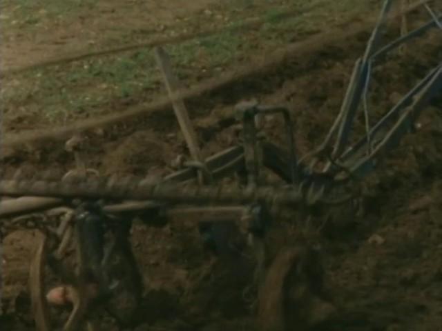 The Computer Programme: Things to Come