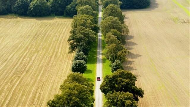 Die Deutsche Alleenstraße – Von Rügen bis Bad Düben